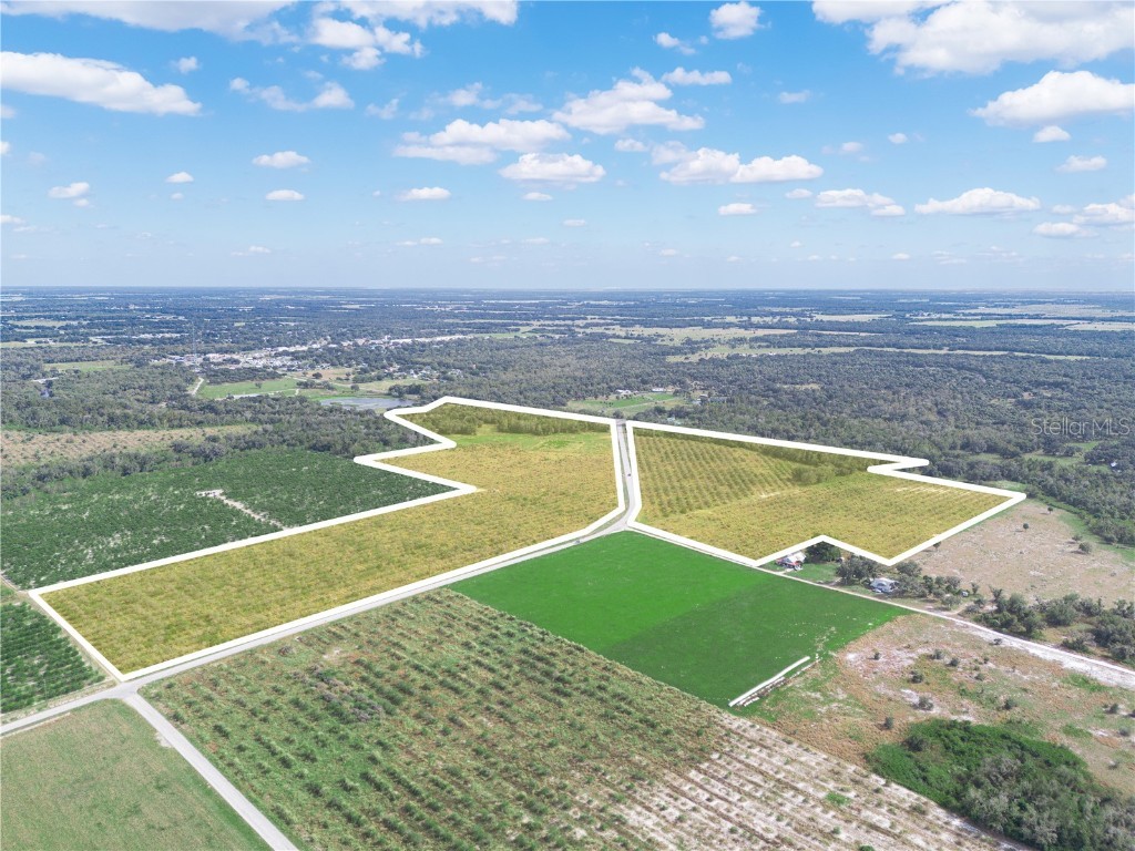 2485 S Florida Avenue Wauchula FL 33873 L4957331 image6