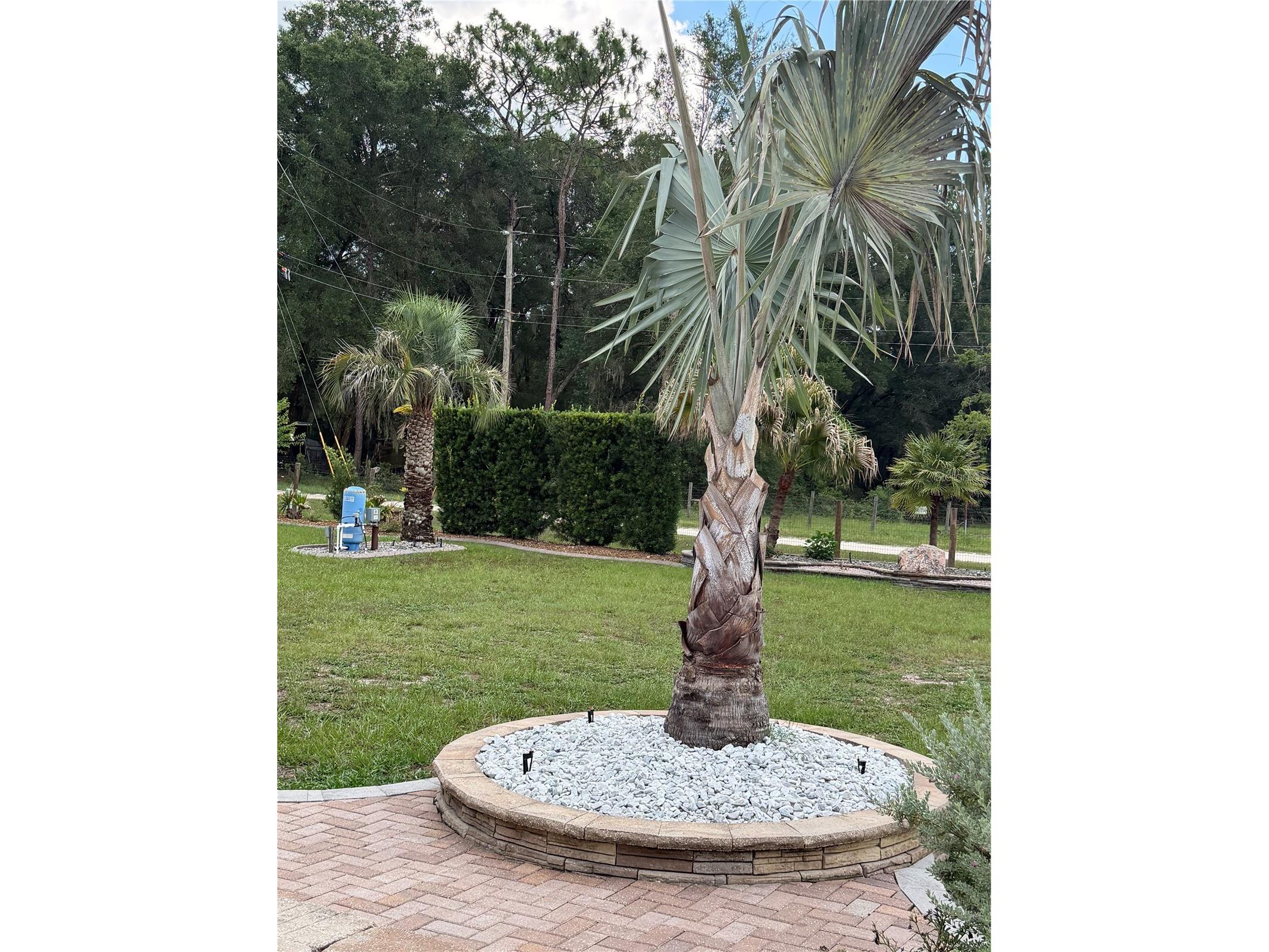 2485 SE 174th Place Summerfield FL 34491 S5153187 image5