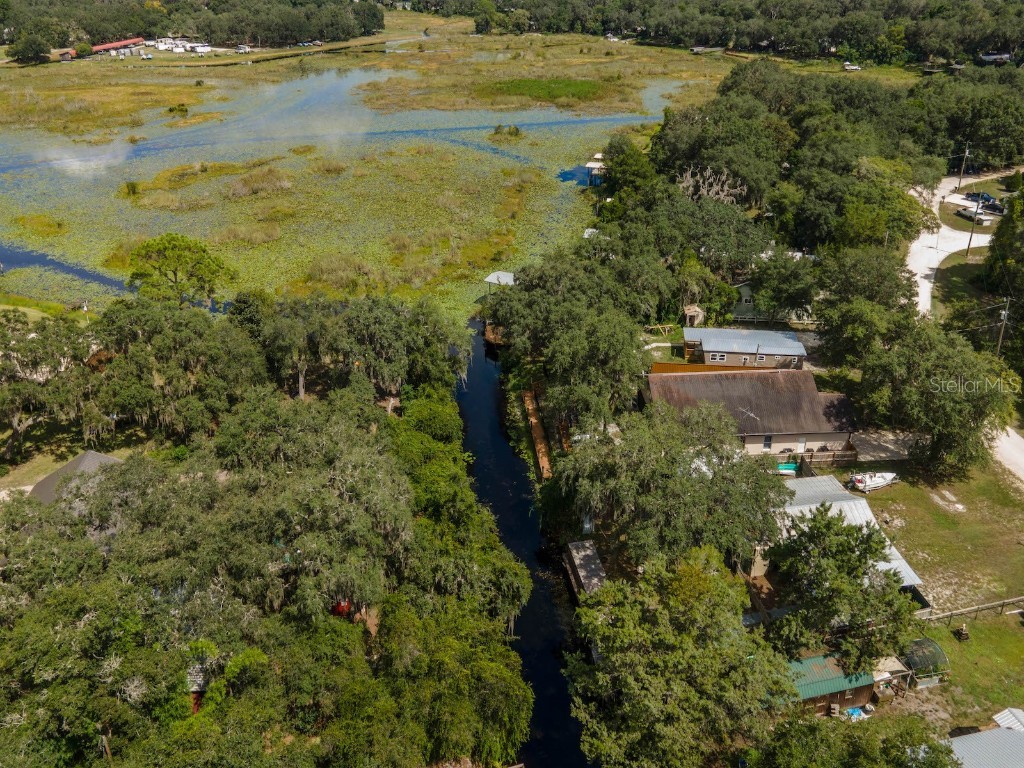 24855 NE 135 Street Salt Springs FL 32134 - LITTLE LAKE KERR OM708798 image51