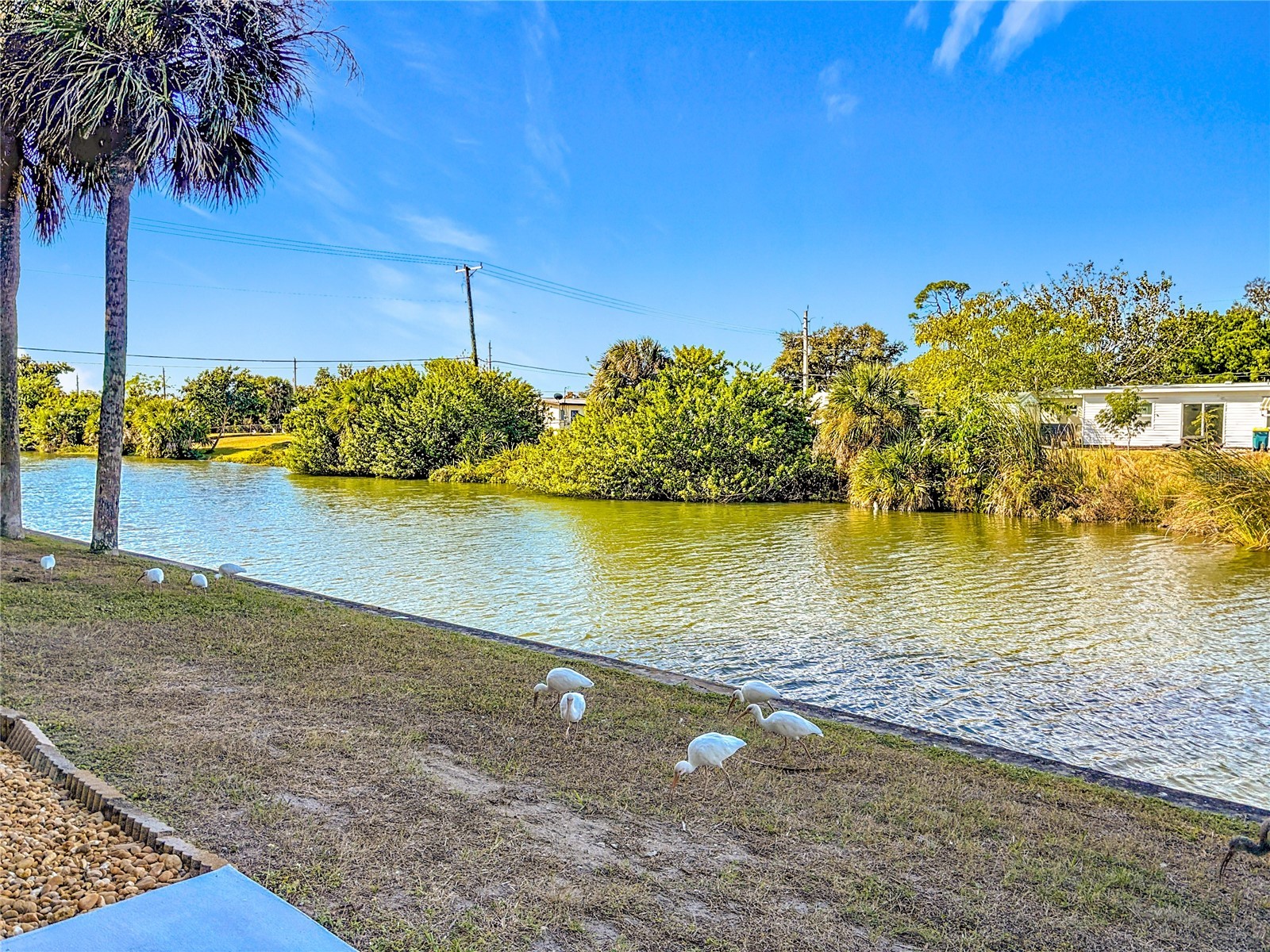 2486 Caring Way #14A Port Charlotte FL 33952 N6142416 image48
