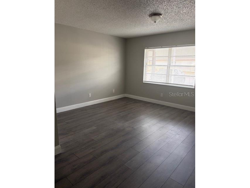 24862 N Us Highway 19 #803 Clearwater FL 33763 TB8473983 image2