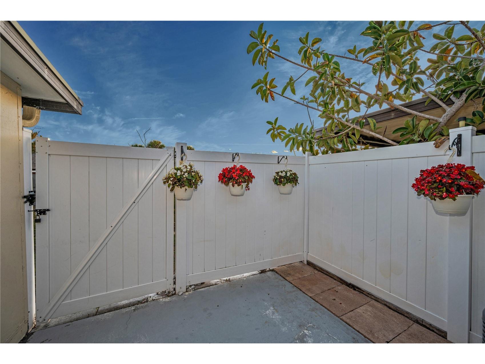 24862 Us Highway 19 N #1205 Clearwater FL 33763 TB8448015 image25