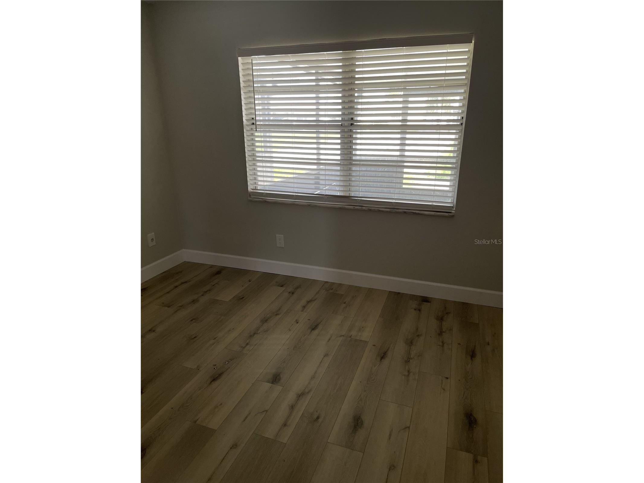24862 Us Highway 19 N #1602 Clearwater FL 33763 TB8505836 image10