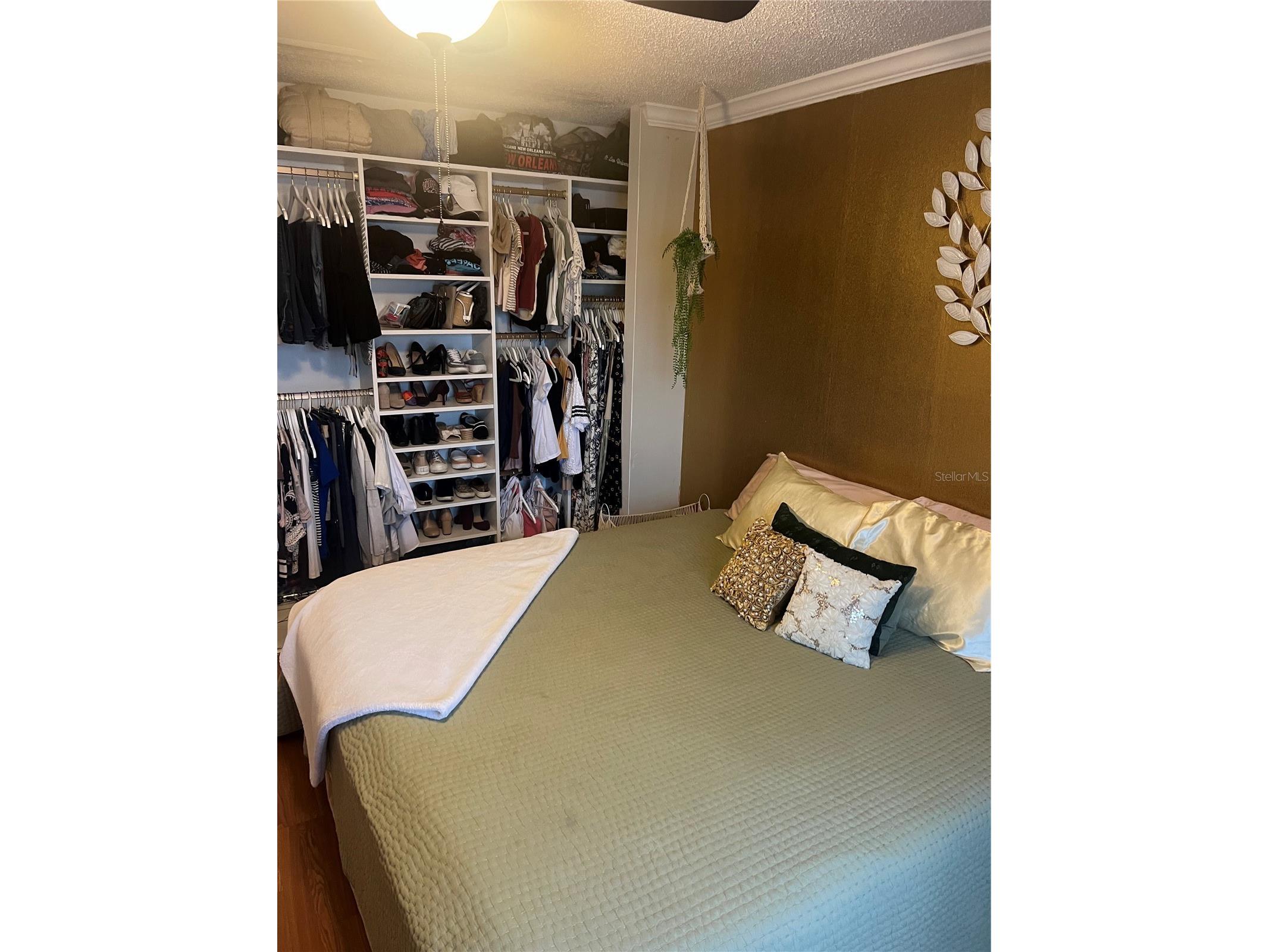 24862 Us Highway 19 N #1604 Clearwater FL 33763 TB8478401 image21