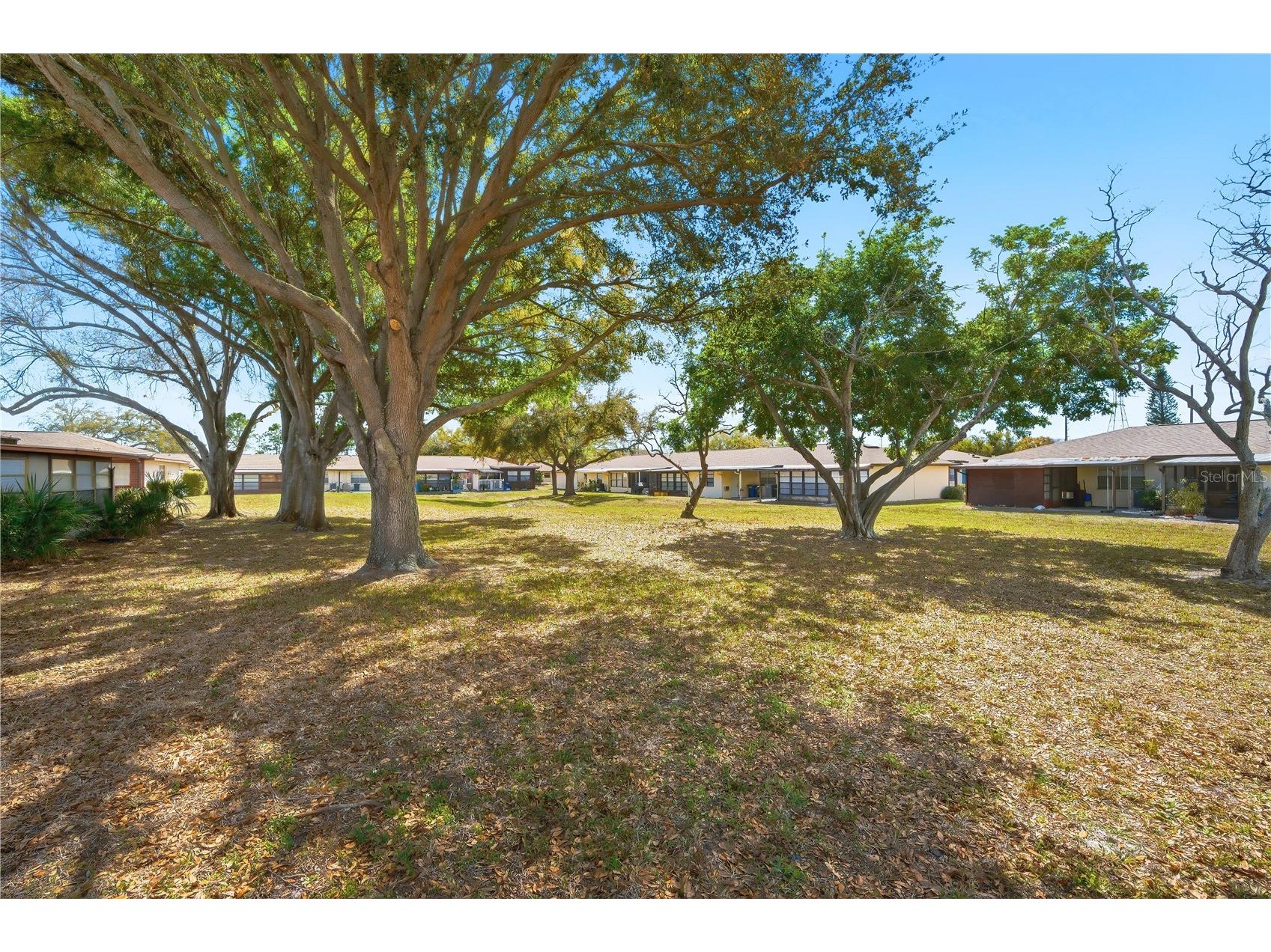 24862 Us Highway 19 N #204 Clearwater FL 33763 TB8487335 image17