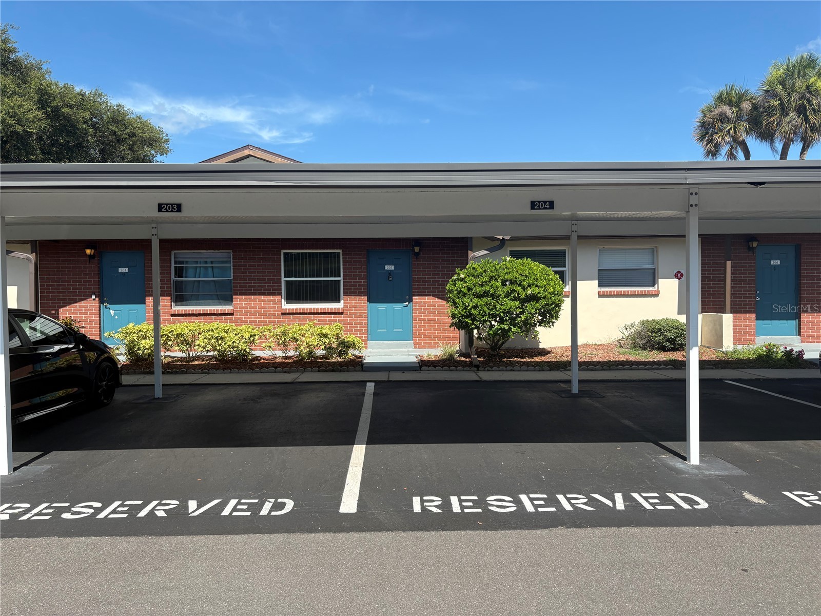 24862 Us Highway 19 N #205 Clearwater FL 33763 TB8519484 image1