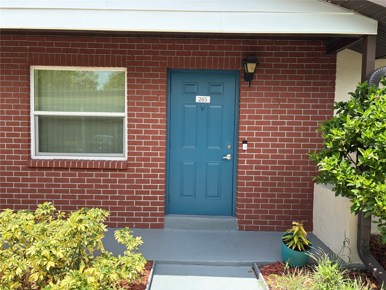24862 Us Highway 19 N #205 Clearwater FL 33763 TB8519484 image2