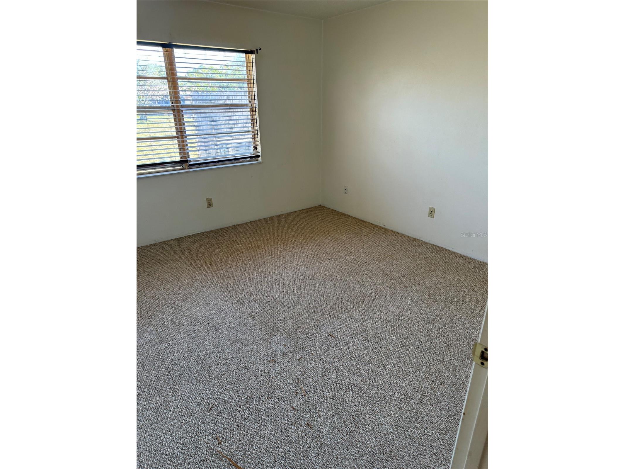 24862 Us Highway 19 N #2803 Clearwater FL 33763 TB8495857 image10