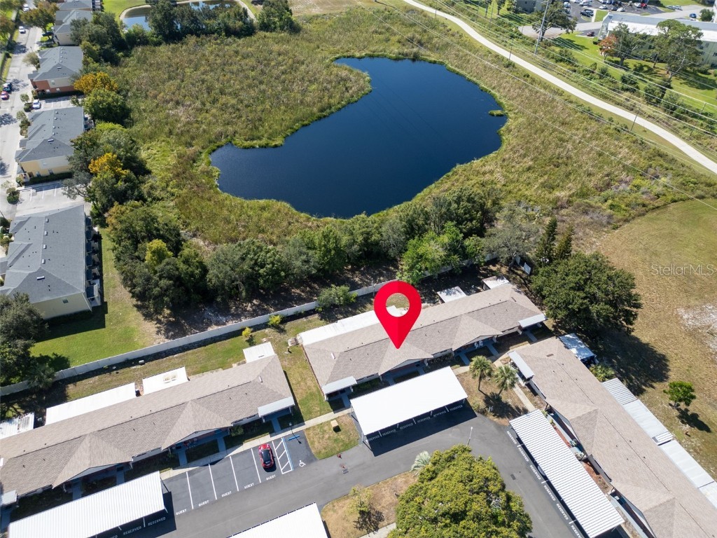 24862 Us Highway 19 N #3003 Clearwater FL 33763 TB8438291 image9