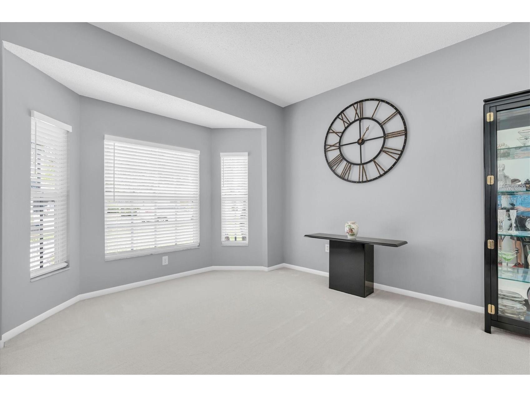 2487 Saddlewood Lane Palm Harbor FL 34685 W7884593 image11
