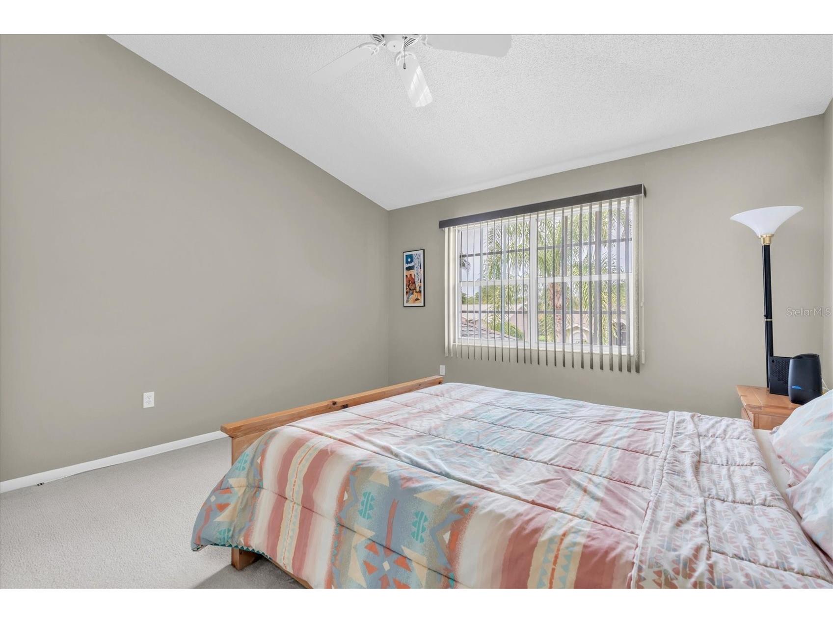2487 Saddlewood Lane Palm Harbor FL 34685 W7884593 image27