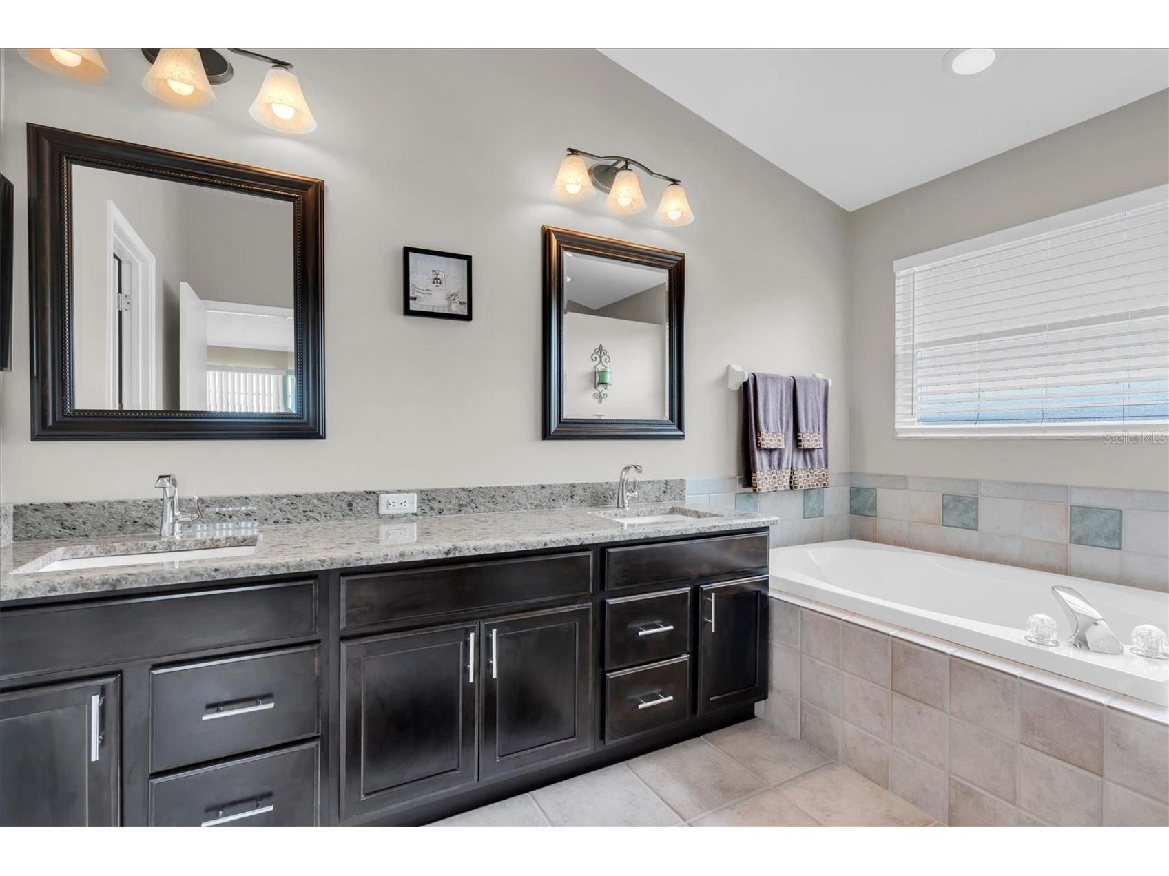 2487 Saddlewood Lane Palm Harbor FL 34685 W7884593 image29