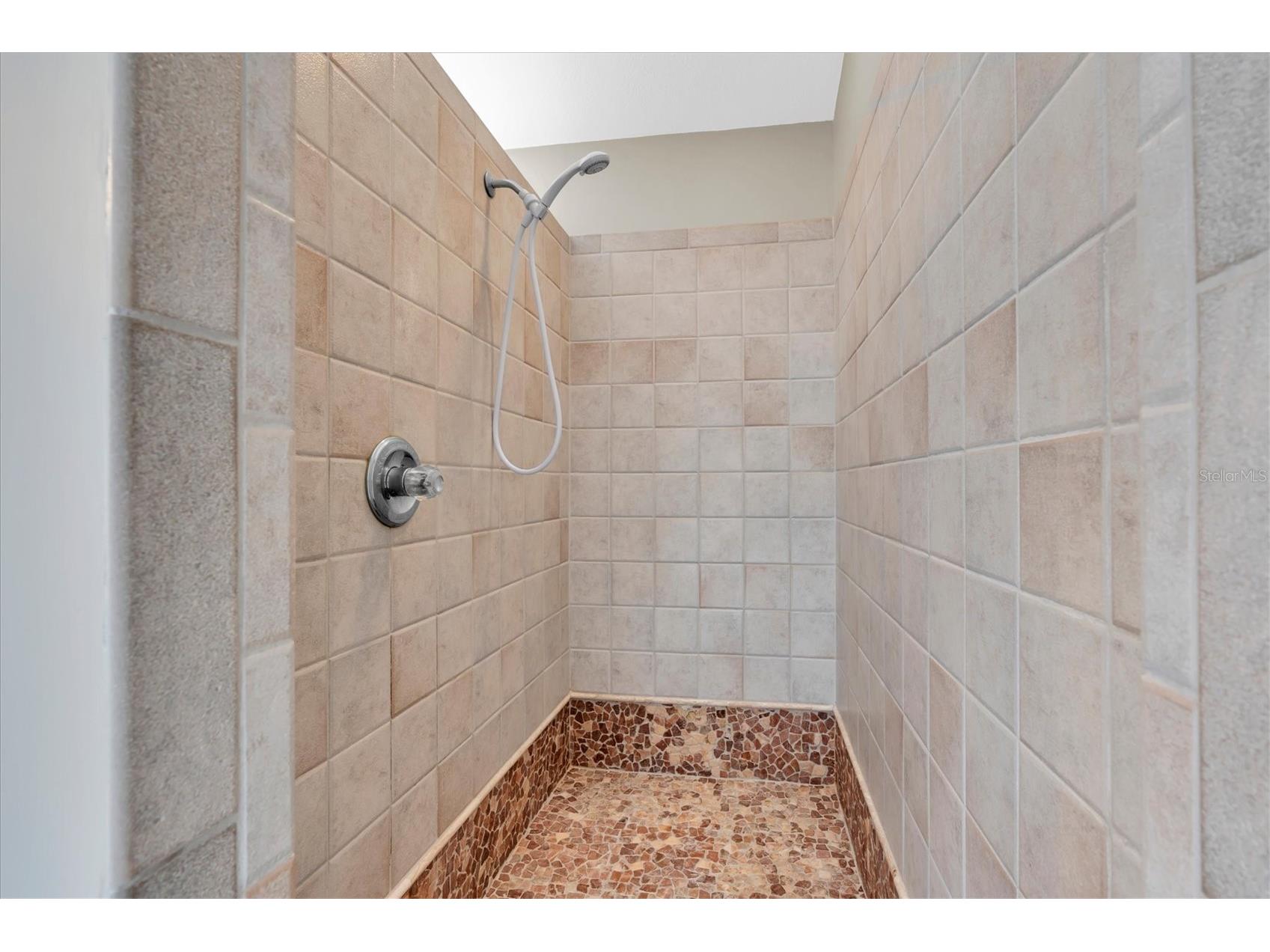 2487 Saddlewood Lane Palm Harbor FL 34685 W7884593 image30