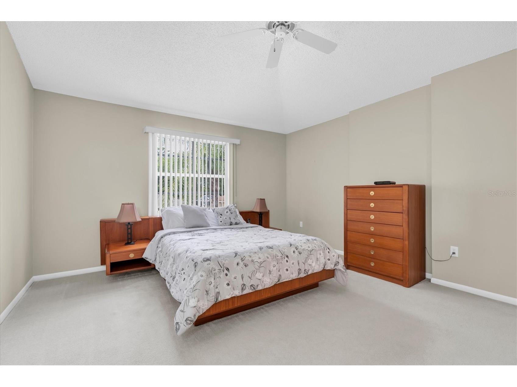 2487 Saddlewood Lane Palm Harbor FL 34685 W7884593 image35