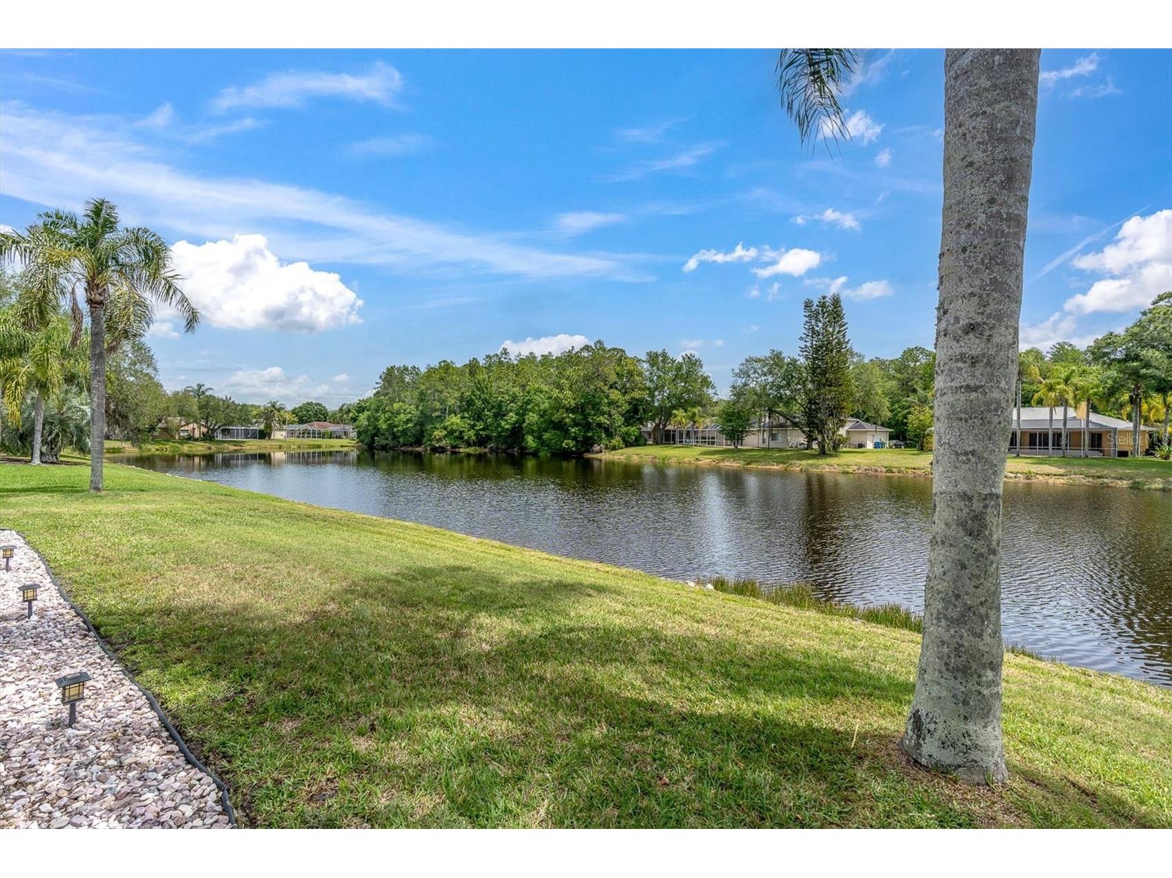 2487 Saddlewood Lane Palm Harbor FL 34685 W7884593 image45
