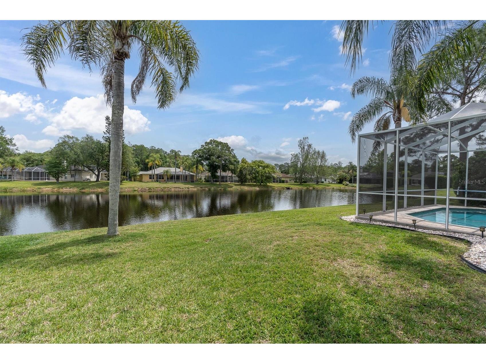 2487 Saddlewood Lane Palm Harbor FL 34685 W7884593 image49