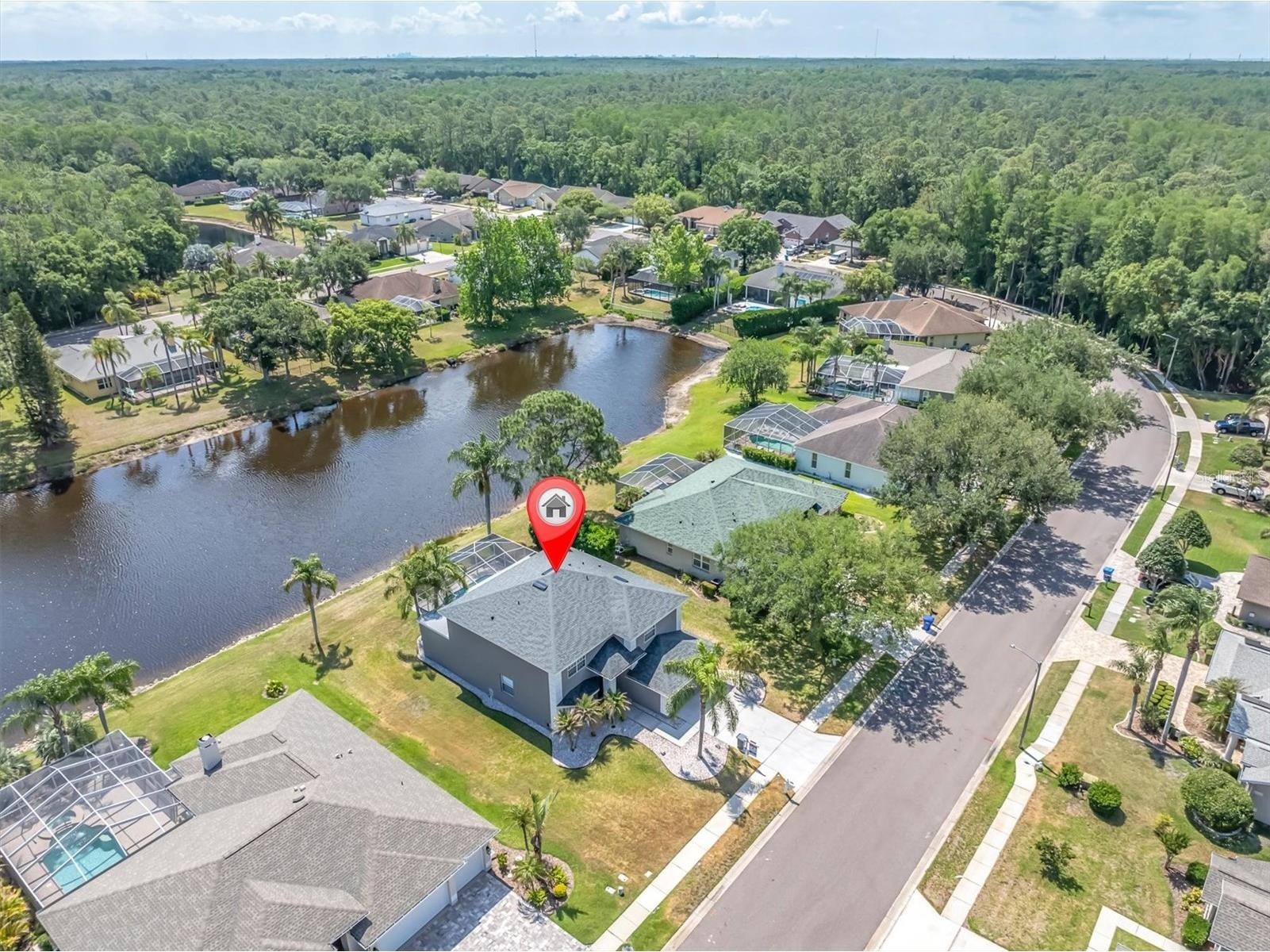 2487 Saddlewood Lane Palm Harbor FL 34685 W7884593 image53