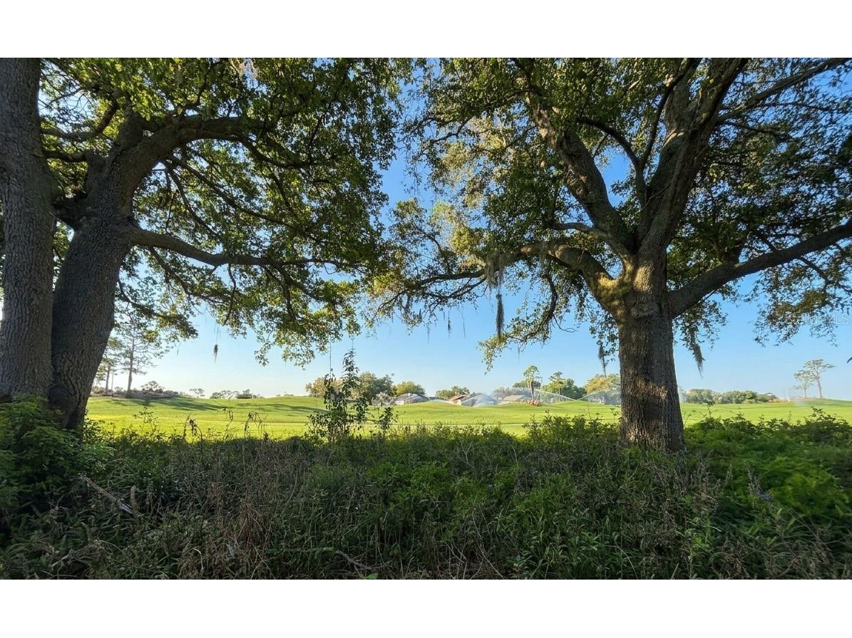 2487 St. Augustine Boulevard Haines City FL 33844 P4938276 image20