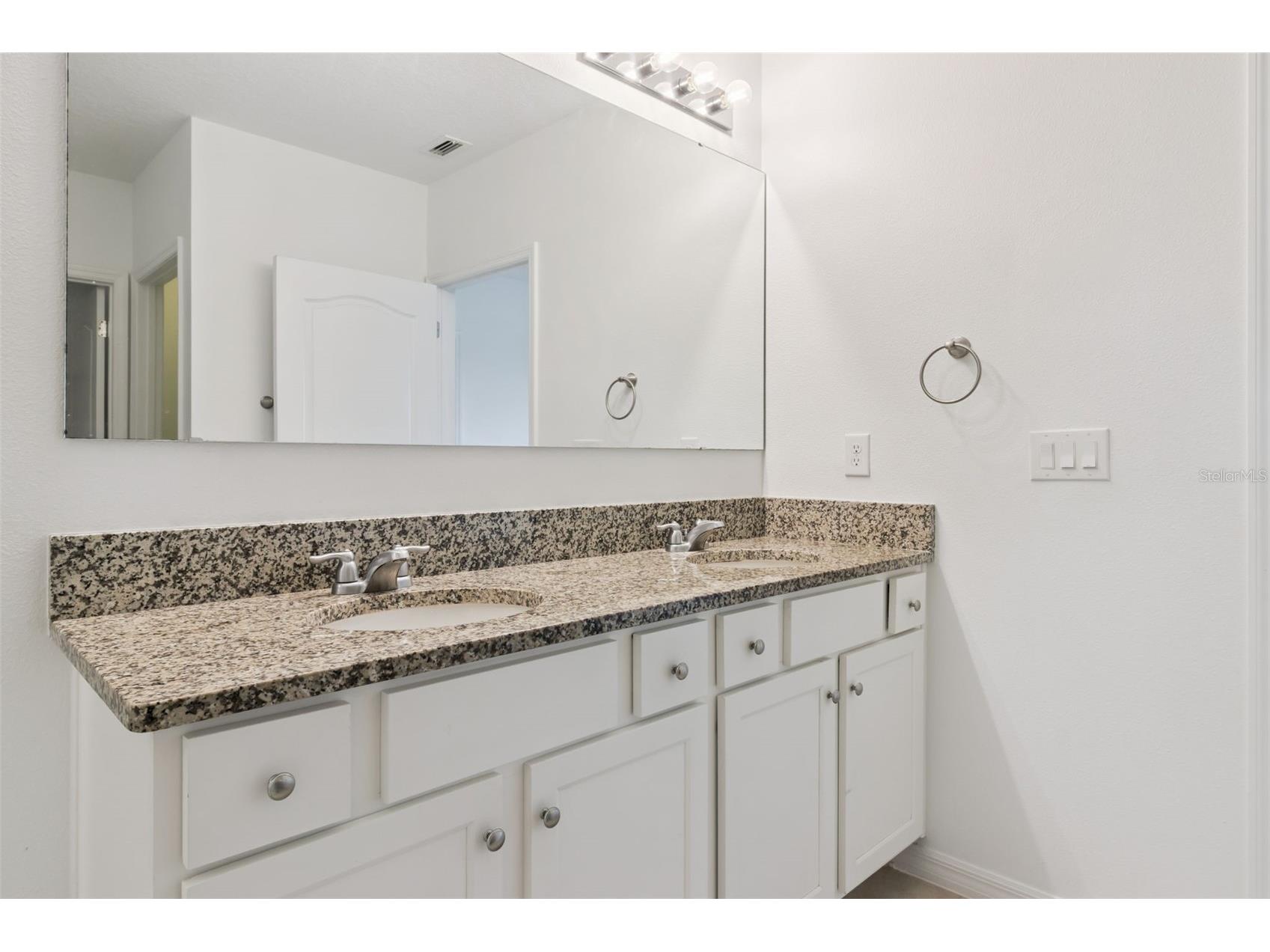 2487 White Lilly Drive Kissimmee FL 34747 S5154052 image49
