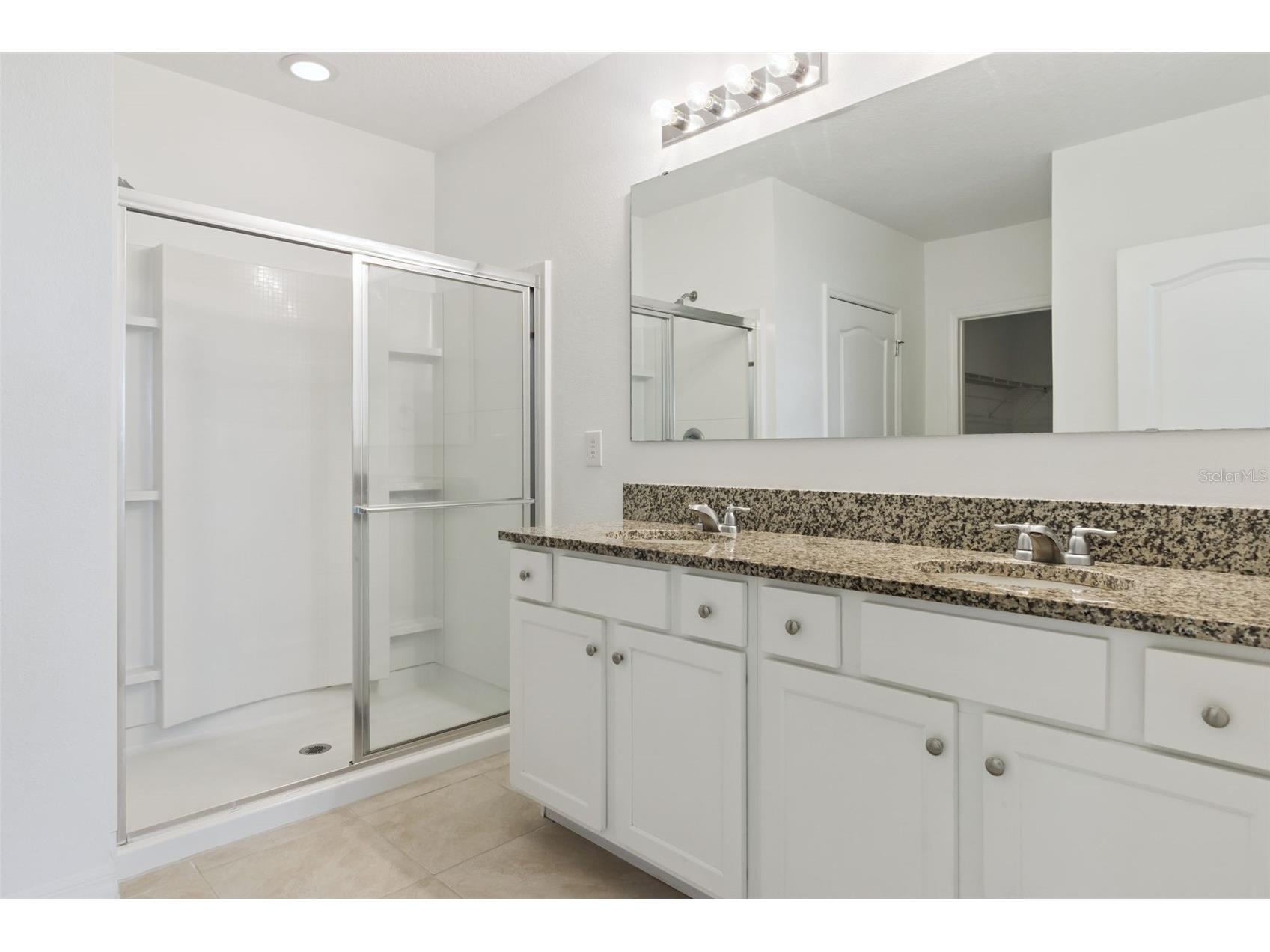 2487 White Lilly Drive Kissimmee FL 34747 S5154052 image50