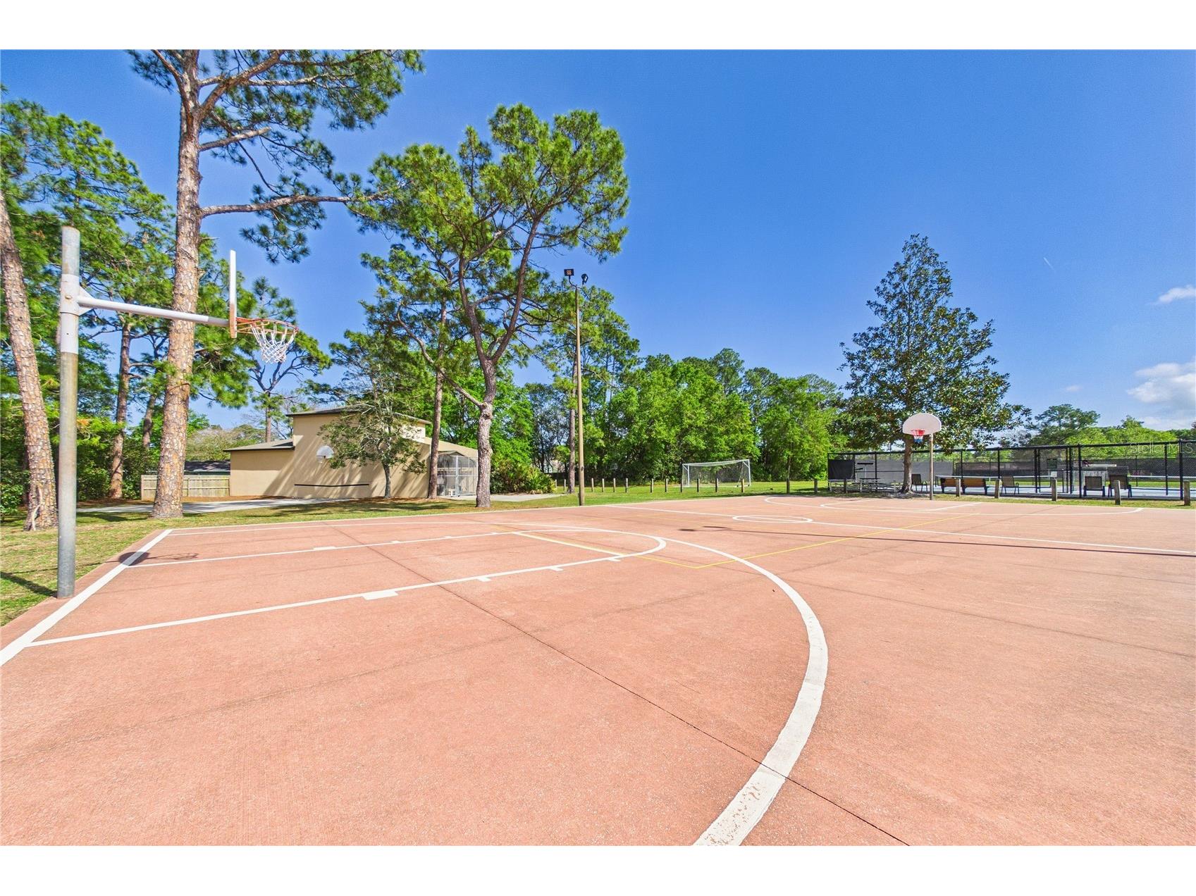 2487 Winged Elm Drive E Jacksonville FL 32246 O6395750 image52