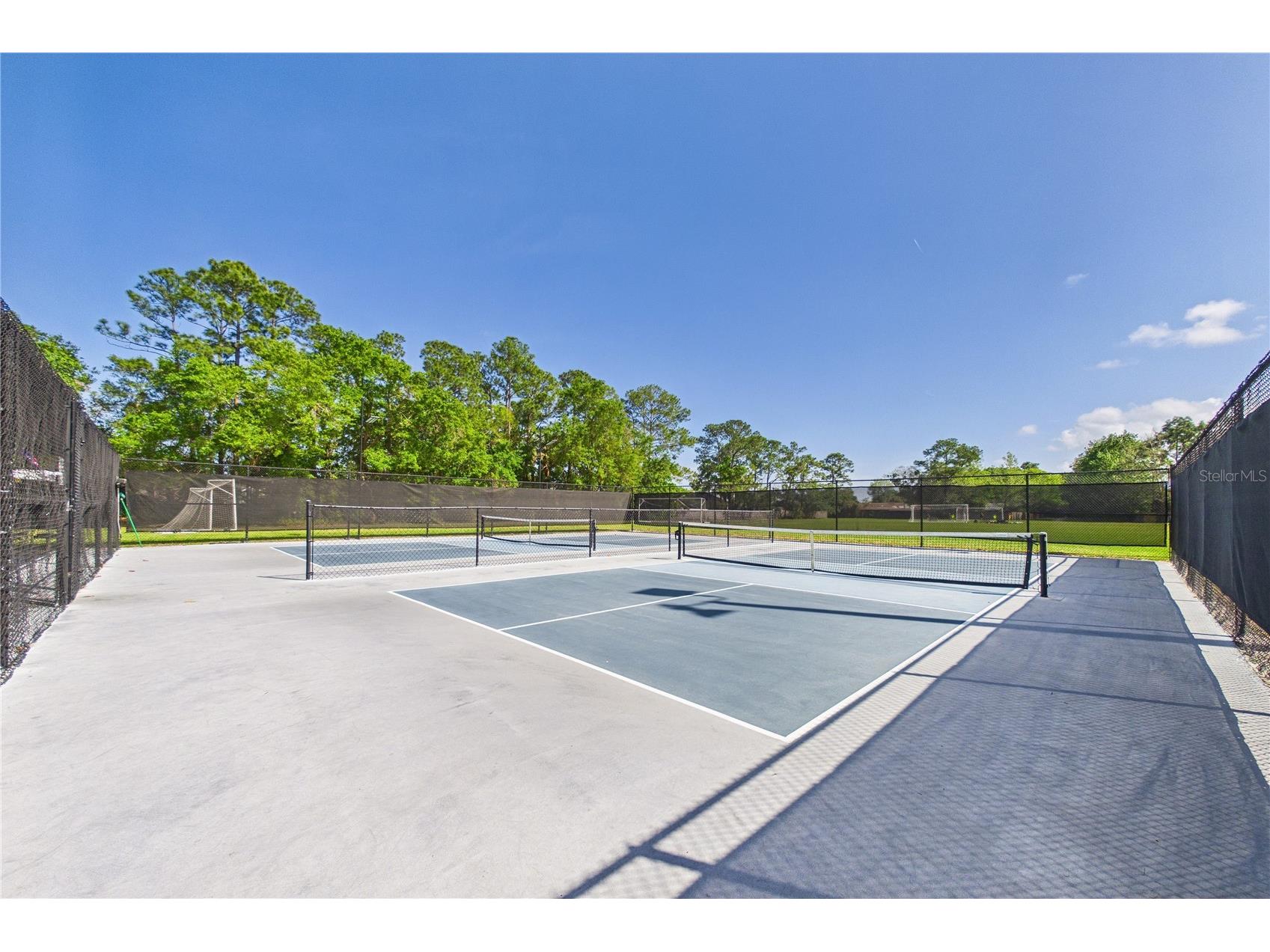 2487 Winged Elm Drive E Jacksonville FL 32246 O6395750 image53