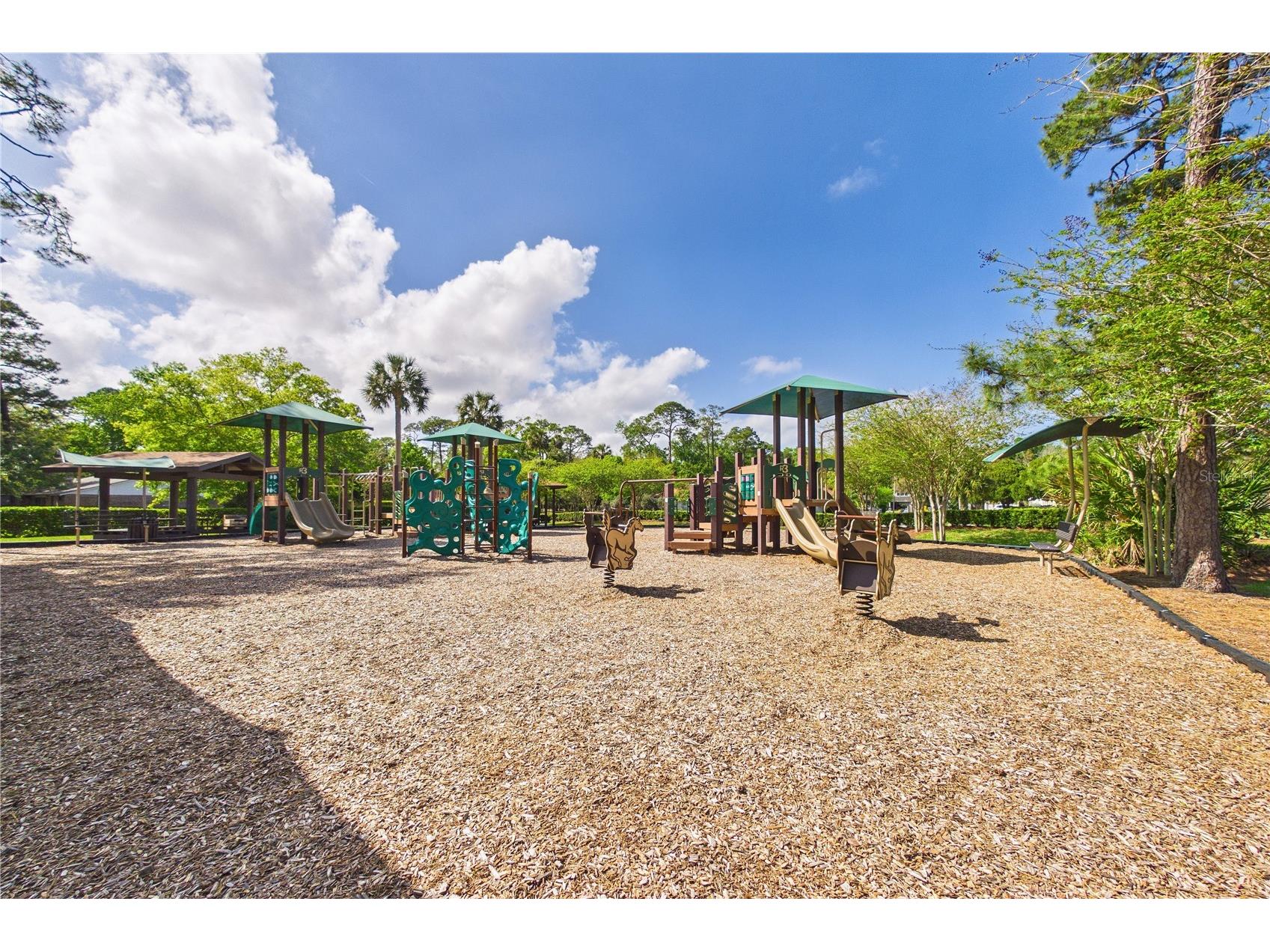 2487 Winged Elm Drive E Jacksonville FL 32246 O6395750 image55