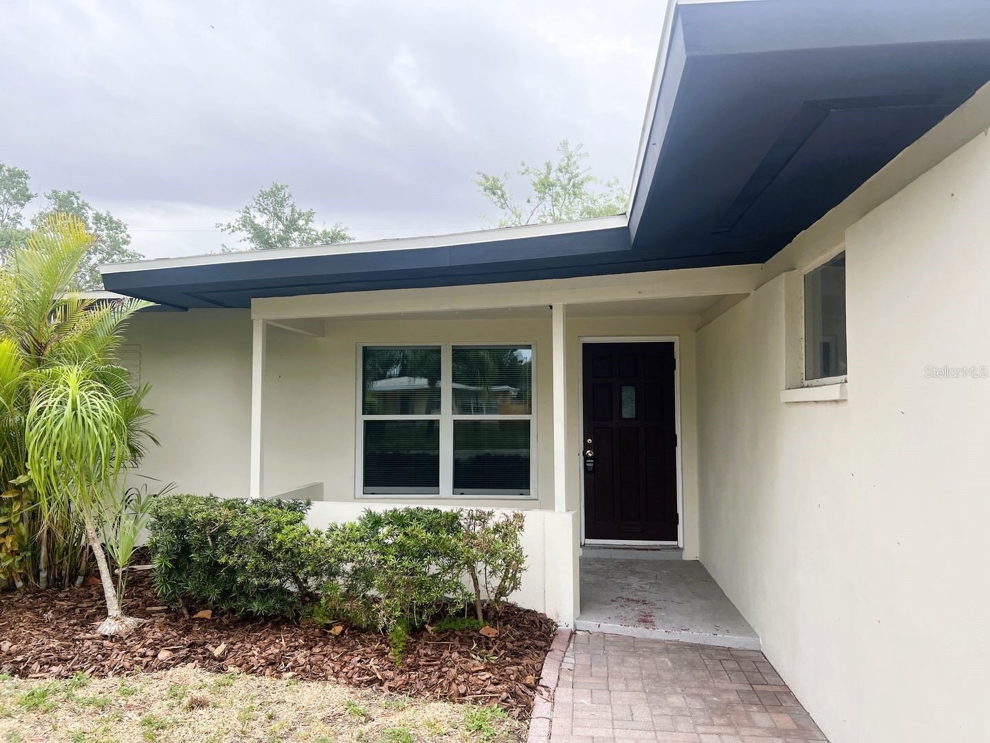 2489 Del Rio Way Dunedin FL 34698 TB8501155 image1