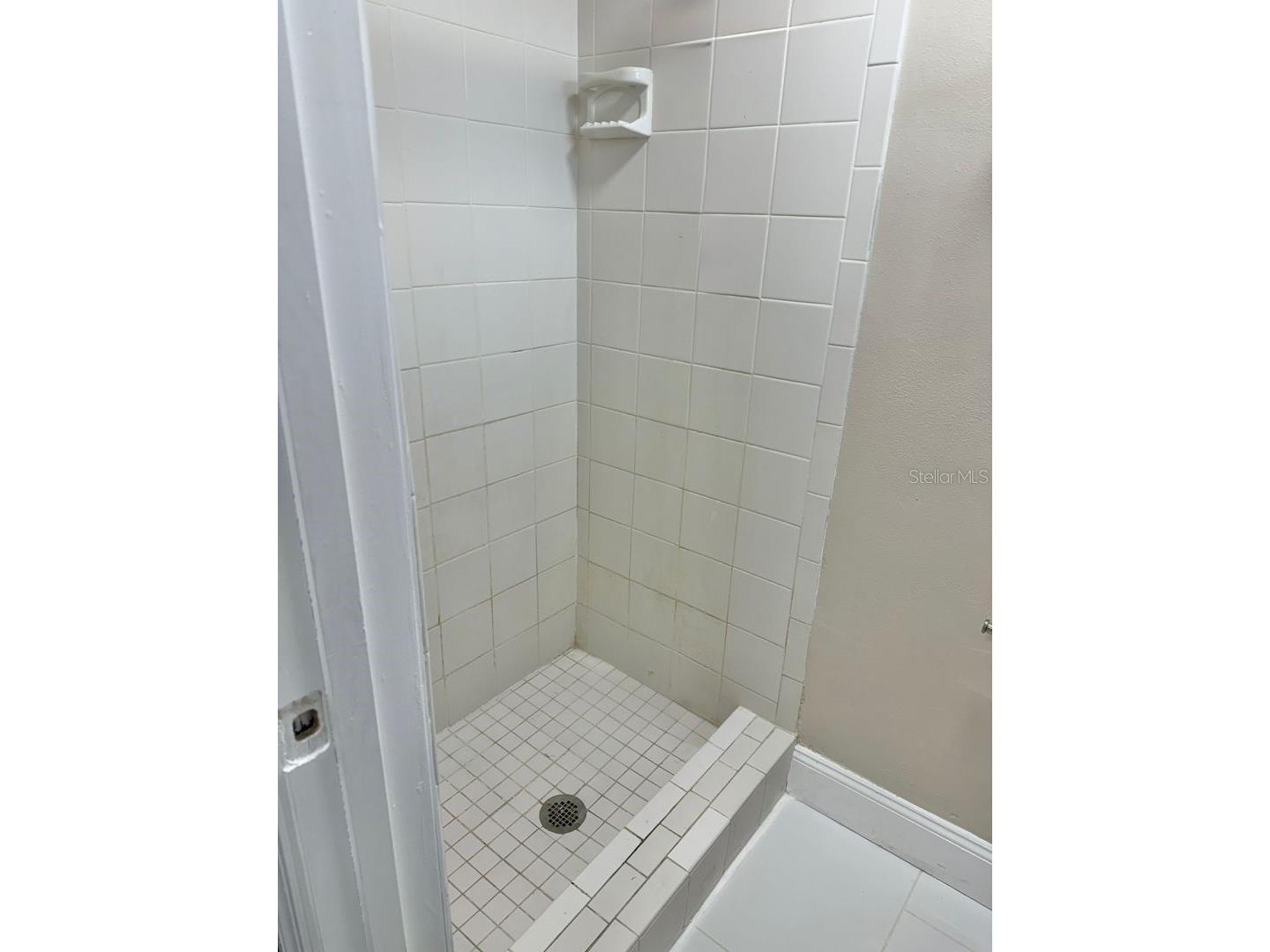 2489 Del Rio Way Dunedin FL 34698 TB8501155 image18