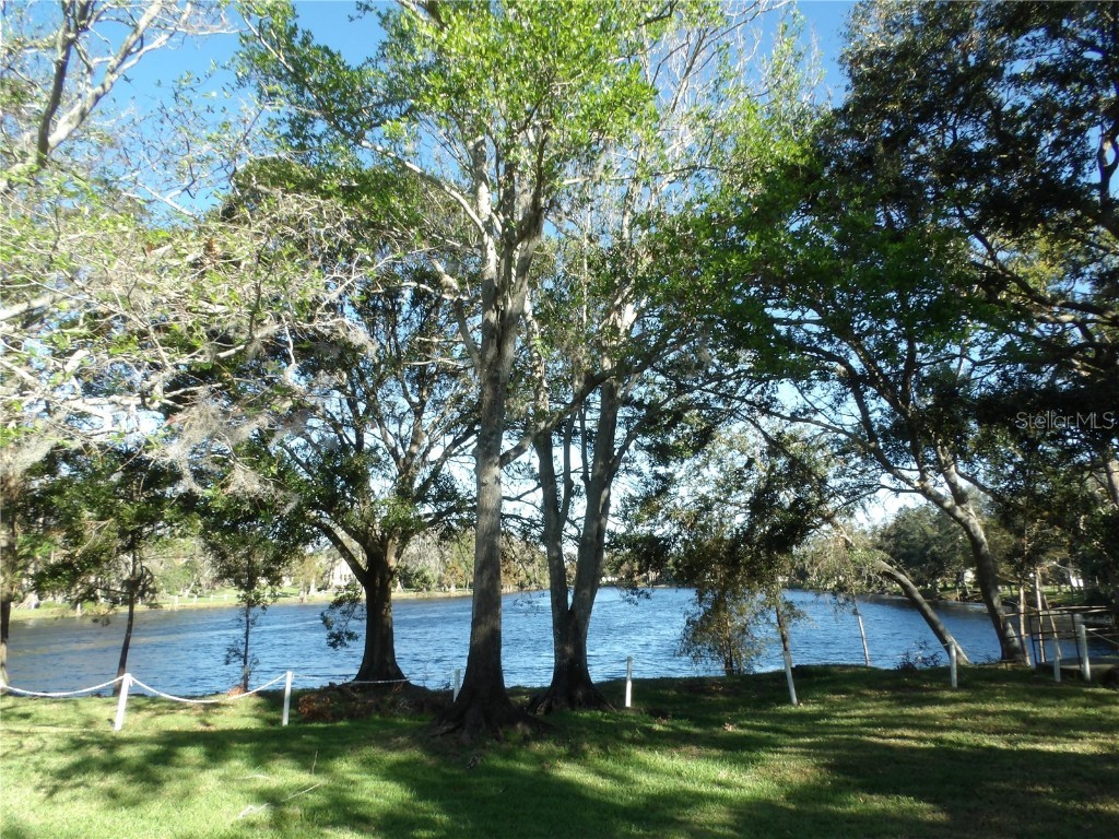 2489 Oakleaf Lane #21C Clearwater FL 33763 TB8366878 image1