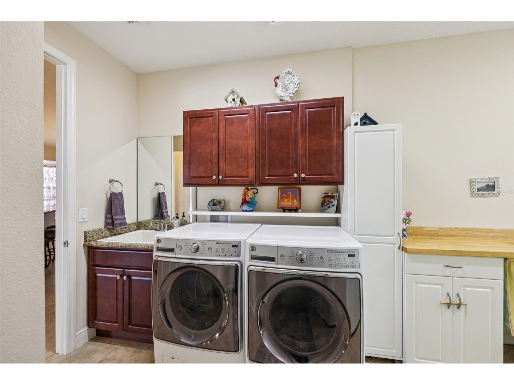2489 Pawtucket Pass Mount Dora FL 32757 G5107405 image22