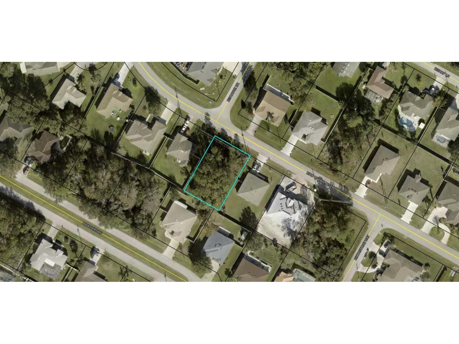 249 Bird Of Paradise Drive Palm Coast FL 32137 FC305558 image1