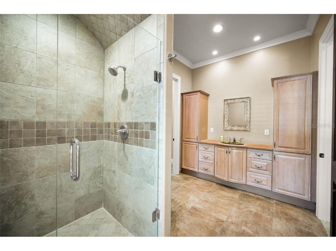 249 Dogwood Trace Tarpon Springs FL 34688 TB8337103 image35