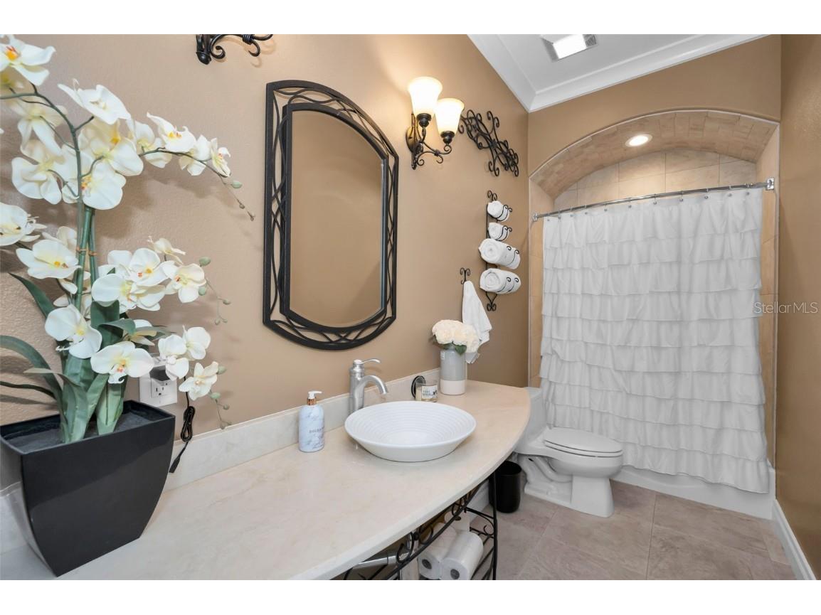 249 Dogwood Trace Tarpon Springs FL 34688 TB8337103 image38