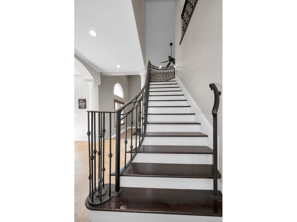 249 Dogwood Trace Tarpon Springs FL 34688 TB8337103 image42