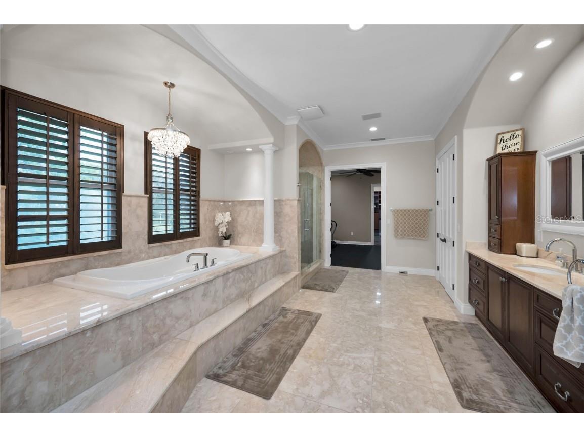 249 Dogwood Trace Tarpon Springs FL 34688 TB8337103 image46