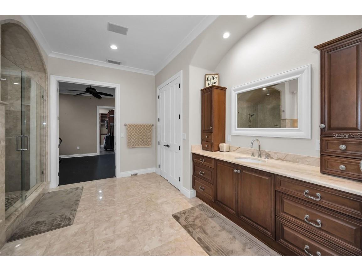 249 Dogwood Trace Tarpon Springs FL 34688 TB8337103 image47