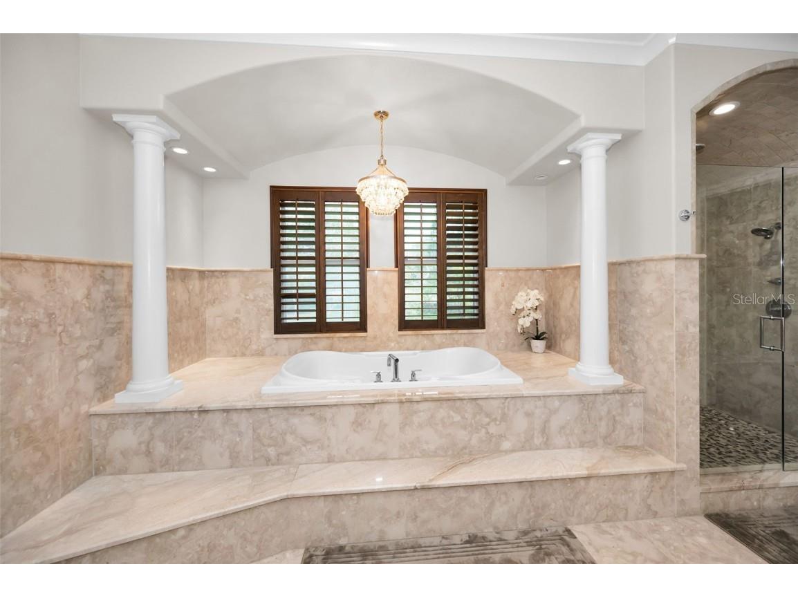 249 Dogwood Trace Tarpon Springs FL 34688 TB8337103 image48