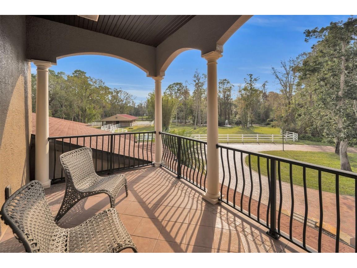 249 Dogwood Trace Tarpon Springs FL 34688 TB8337103 image59