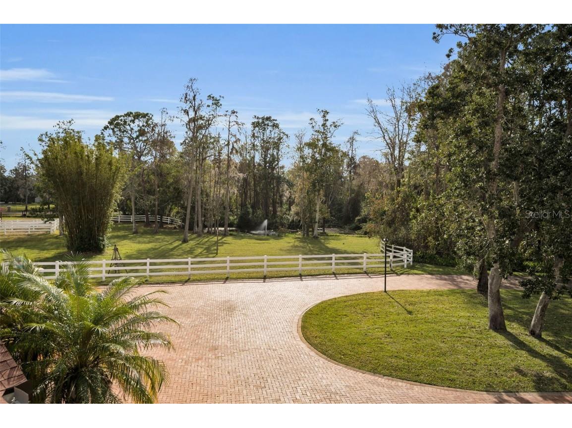 249 Dogwood Trace Tarpon Springs FL 34688 TB8337103 image60