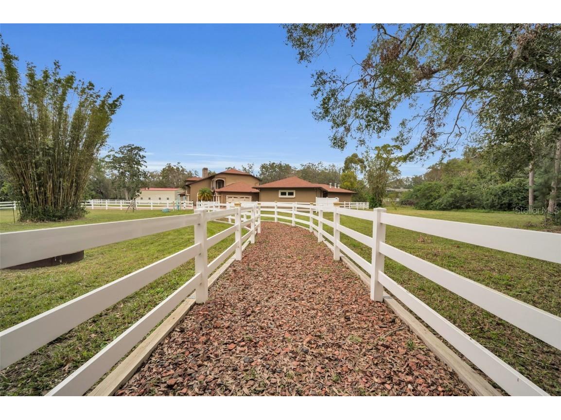 249 Dogwood Trace Tarpon Springs FL 34688 TB8337103 image73