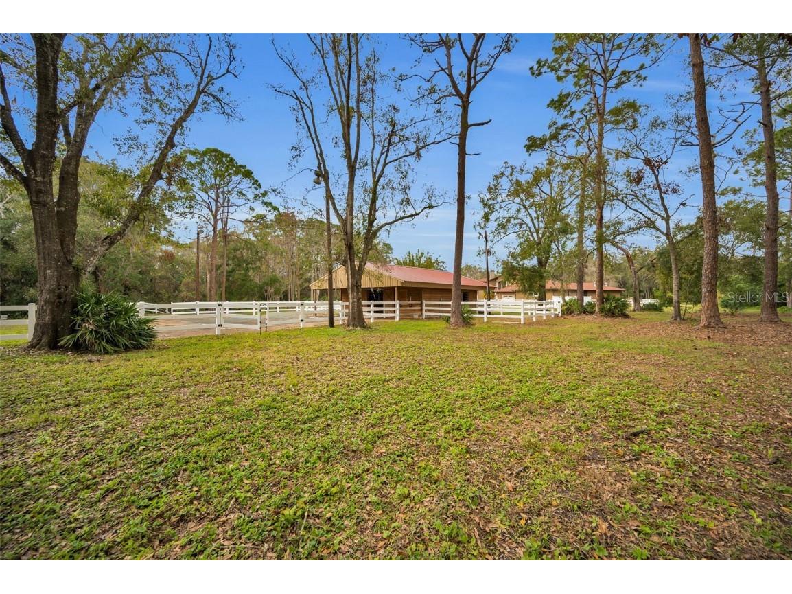 249 Dogwood Trace Tarpon Springs FL 34688 TB8337103 image74