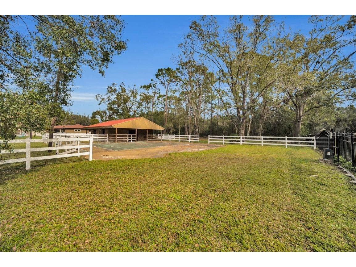 249 Dogwood Trace Tarpon Springs FL 34688 TB8337103 image84