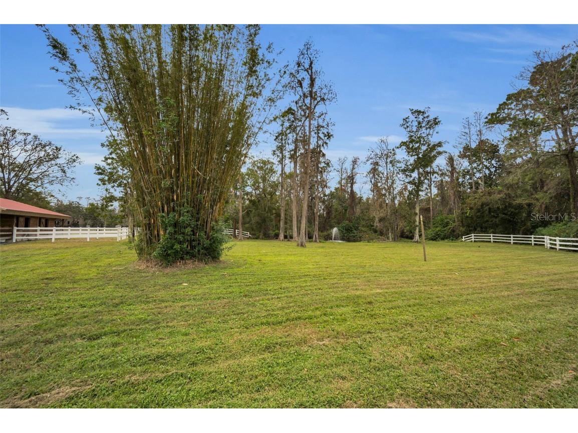 249 Dogwood Trace Tarpon Springs FL 34688 TB8337103 image85