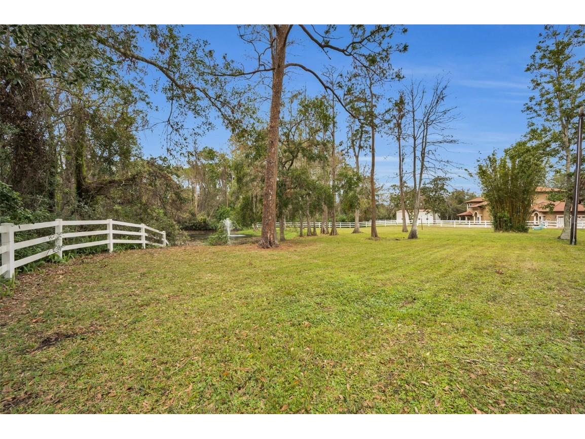 249 Dogwood Trace Tarpon Springs FL 34688 TB8337103 image86