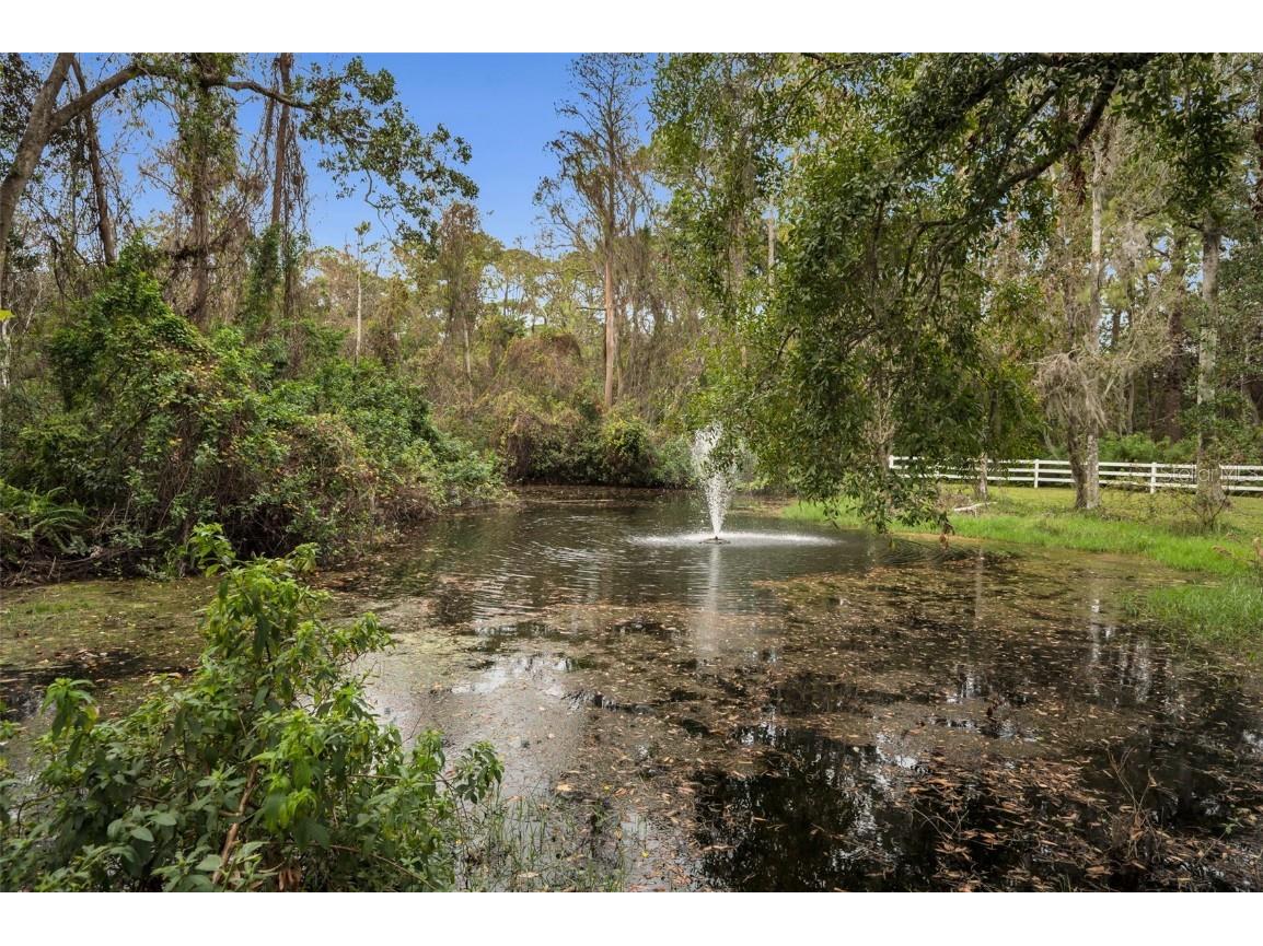 249 Dogwood Trace Tarpon Springs FL 34688 TB8337103 image87