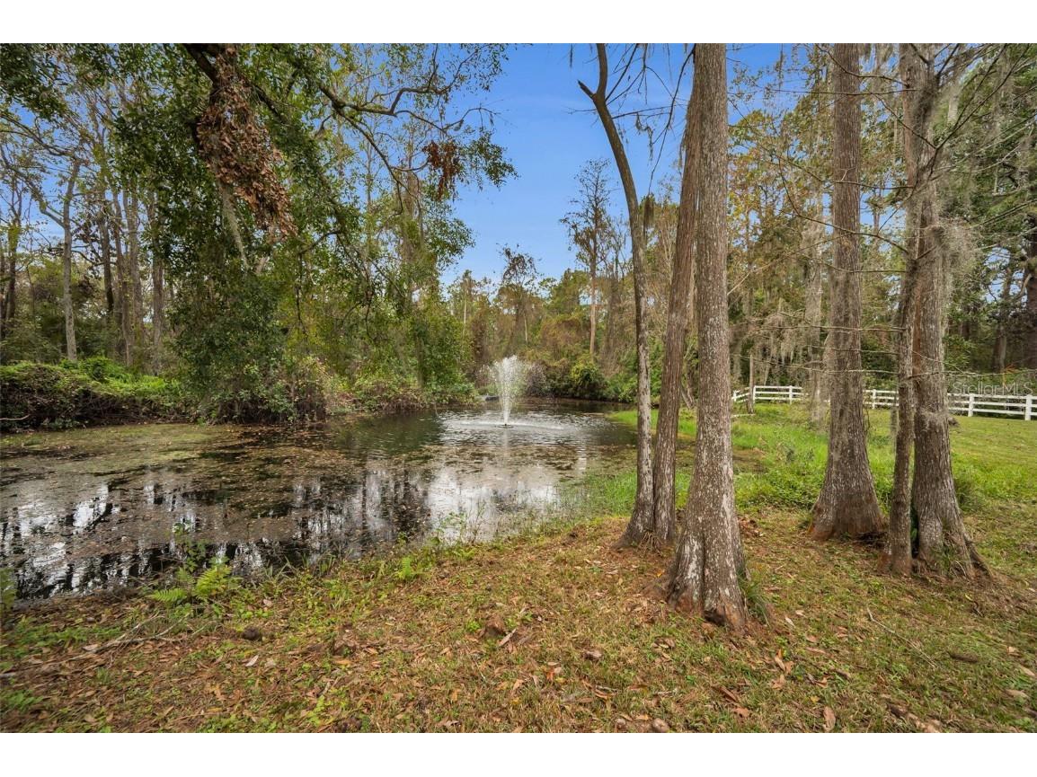 249 Dogwood Trace Tarpon Springs FL 34688 TB8337103 image88
