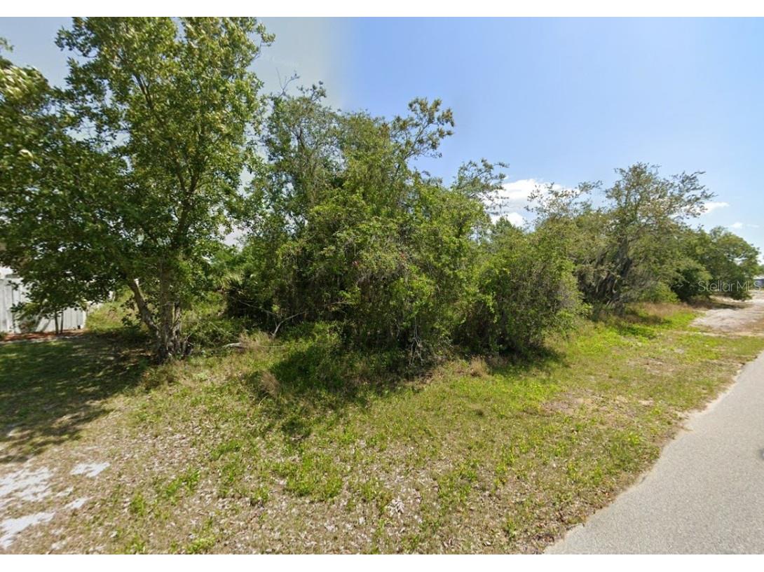 249 Grape Road NW Lake Placid FL 33852 C7513980 image1