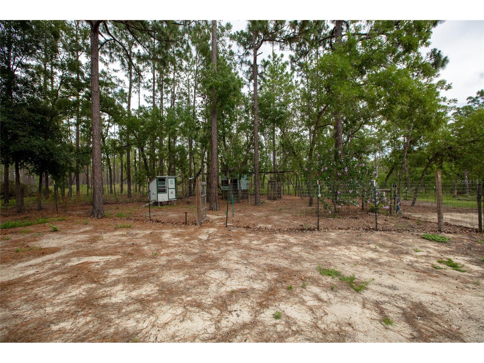 249 Melrose Landing Drive Hawthorne FL 32640 GC540489 image52