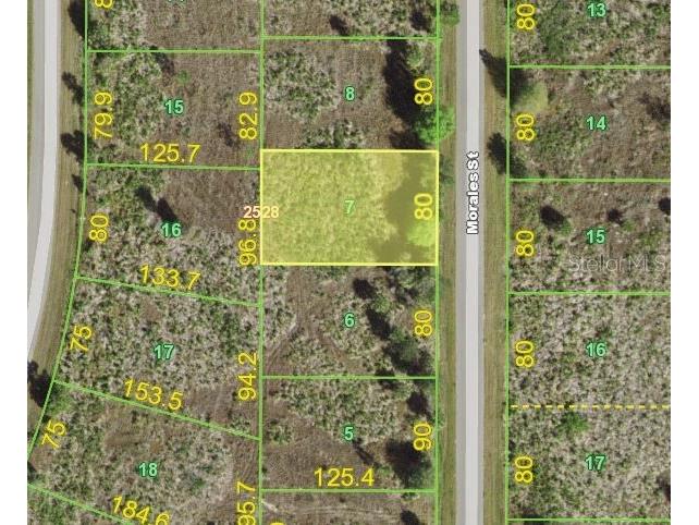 249 Morales Street Port Charlotte FL 33953 C7452169 image1